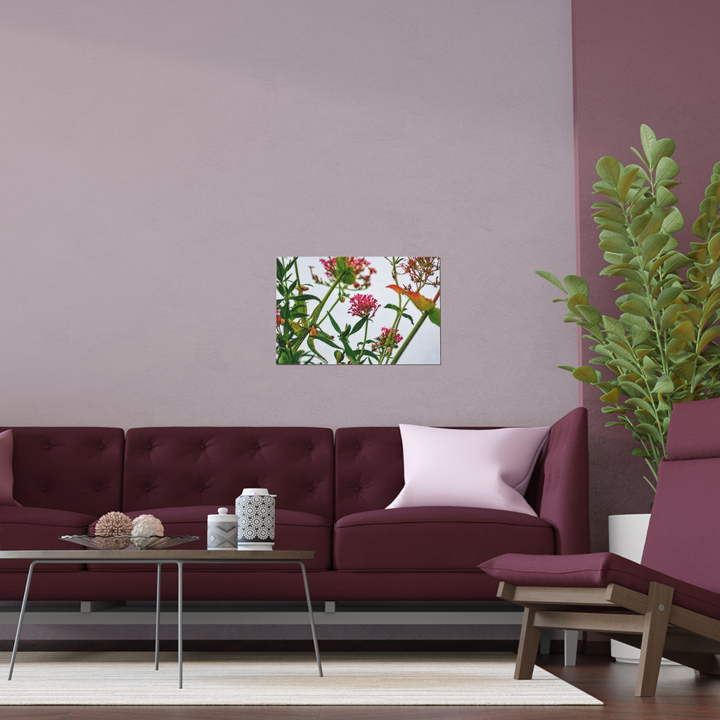 Pink wildflower nature photography silk poster — Nature Noticed