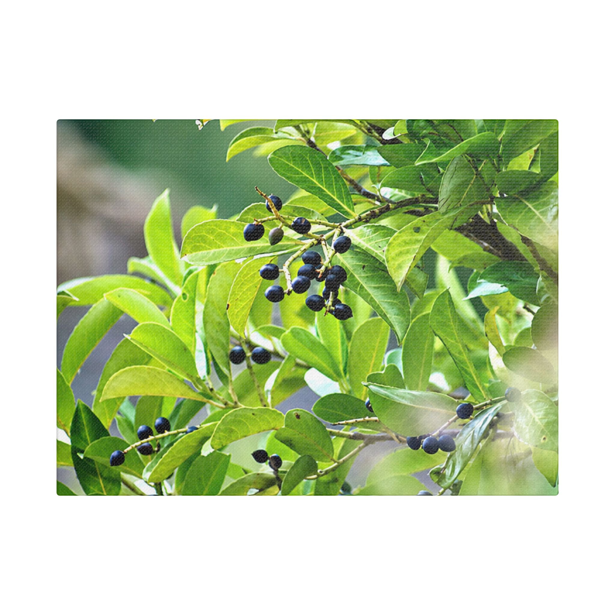 Alternate view of Nature Study Satin Stretched Canvas