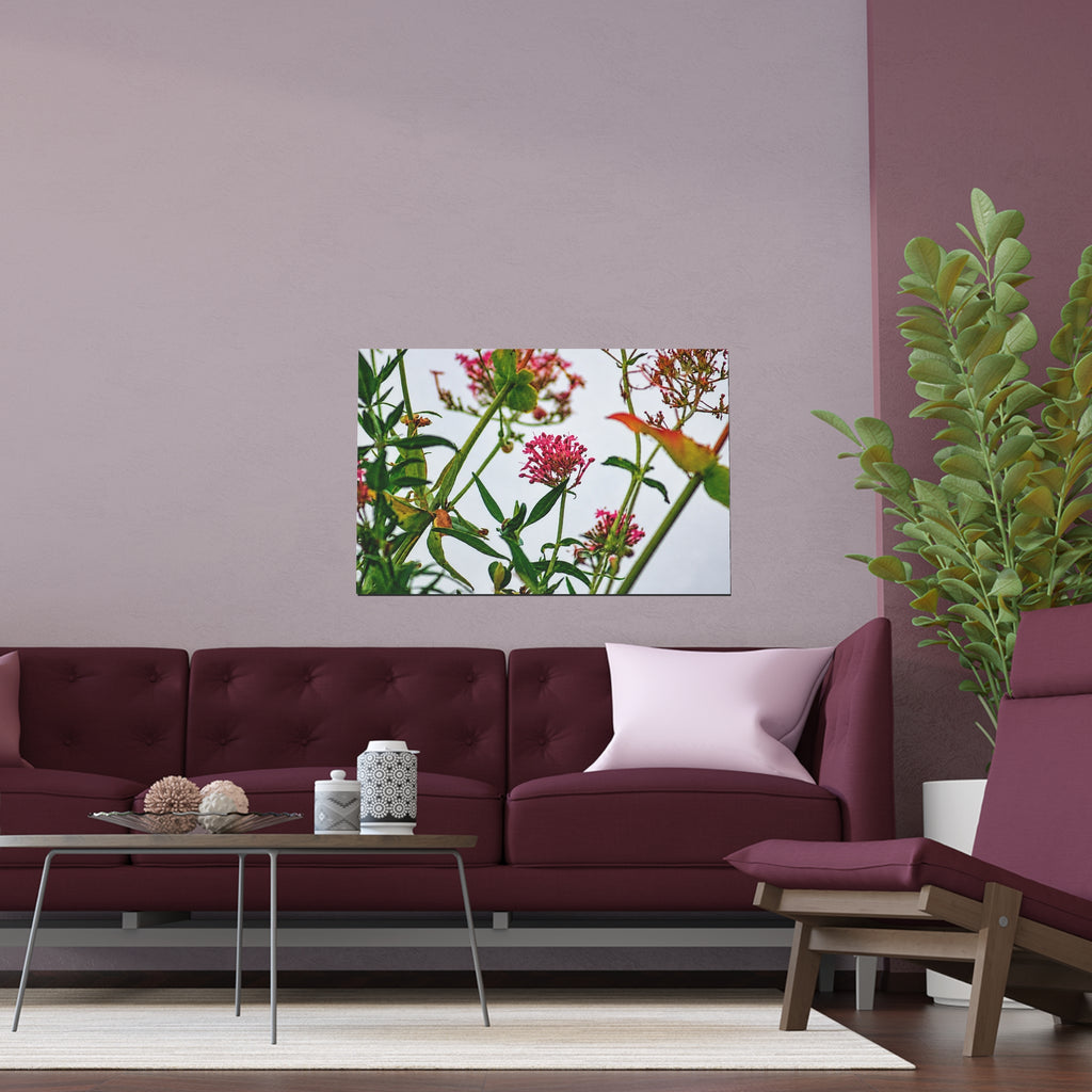 Pink wildflower nature photography silk poster — Nature Noticed