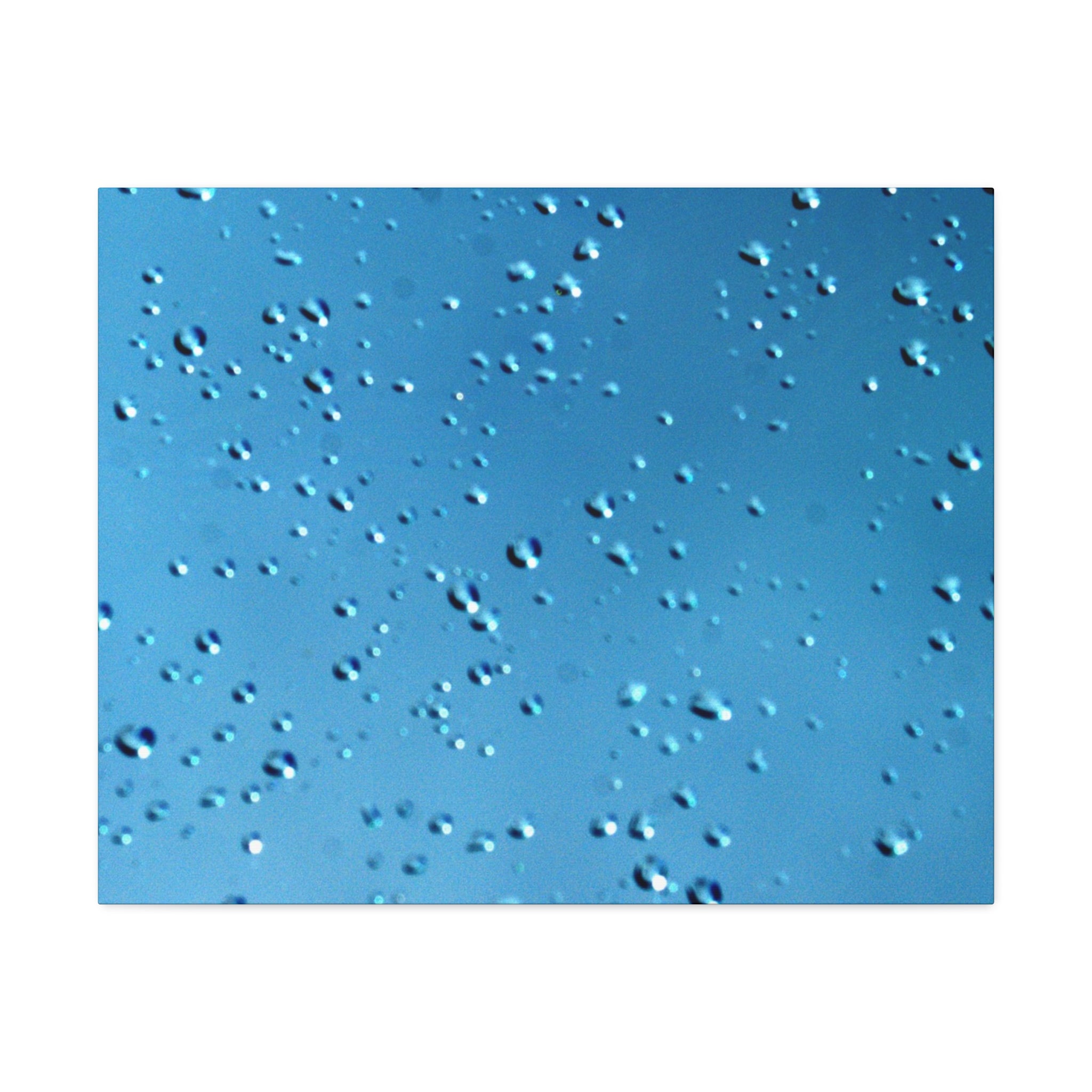 Blue Raindrops Stretched Canvas — Original Nature Photography
