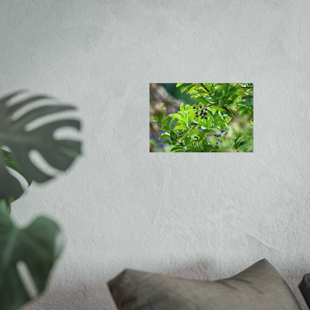Nature Study Fine Art Poster — Original Botanical Photography