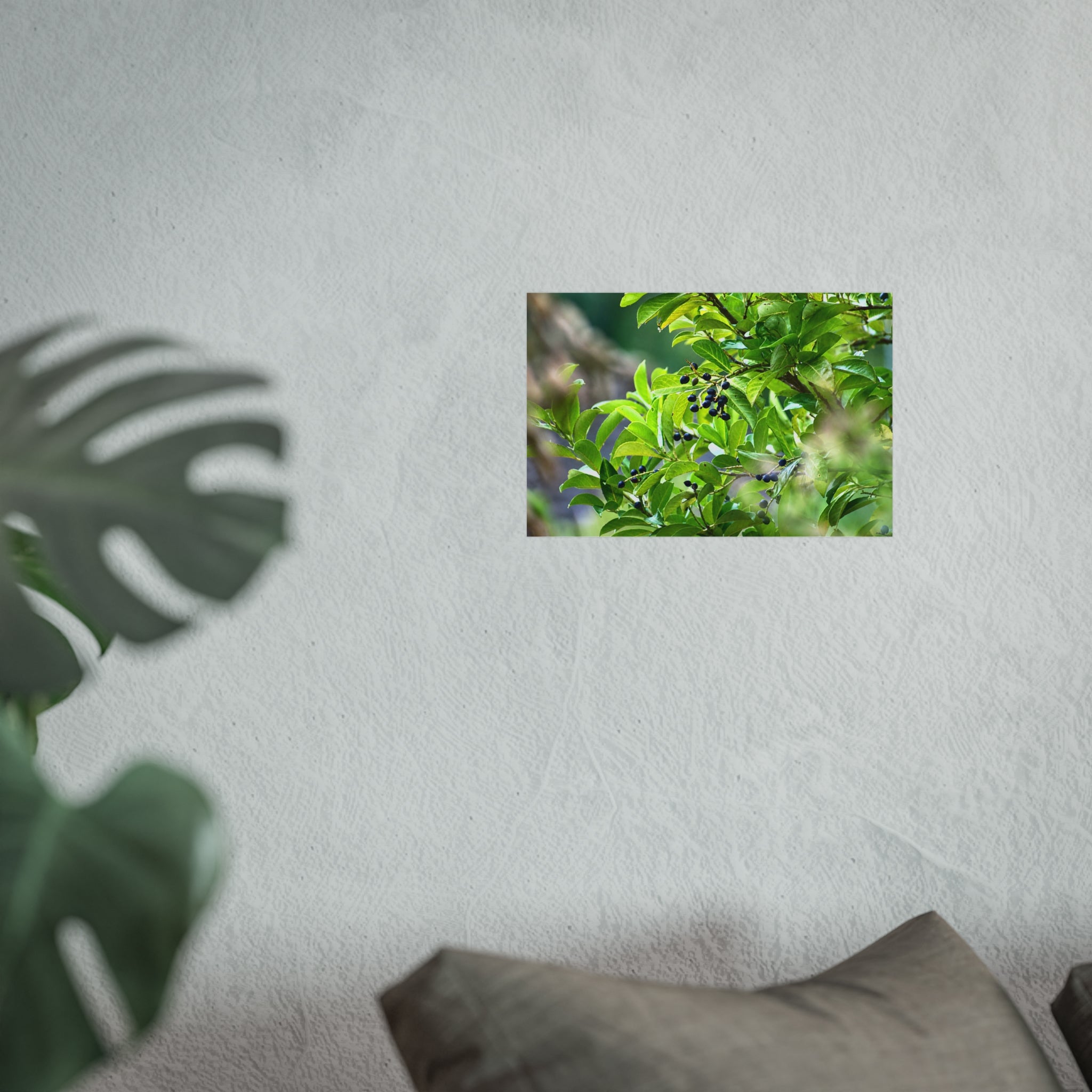 Nature Study Fine Art Poster — Original Botanical Photography