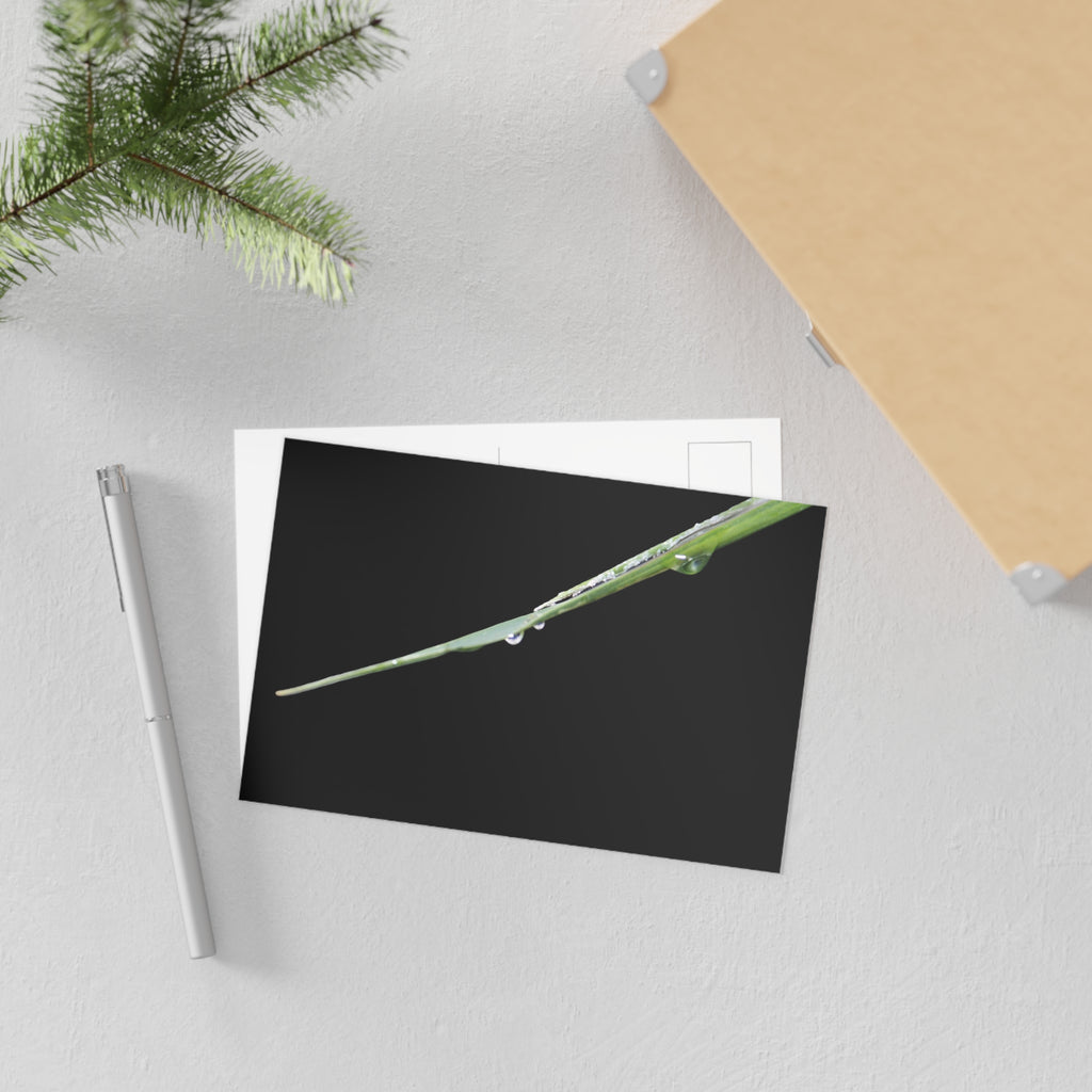 Woodland Detail Fine Art Postcard — Original Nature Photography