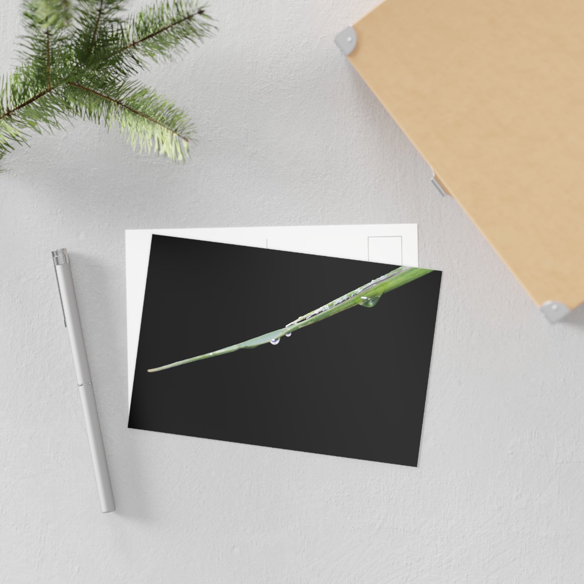 Woodland Detail Fine Art Postcard — Original Nature Photography