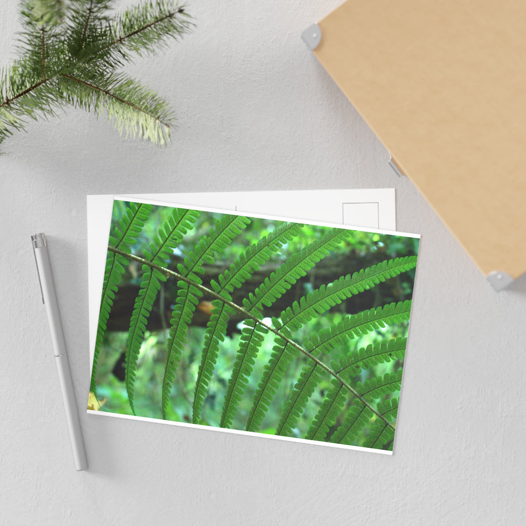 Fern Fine Art Post Card