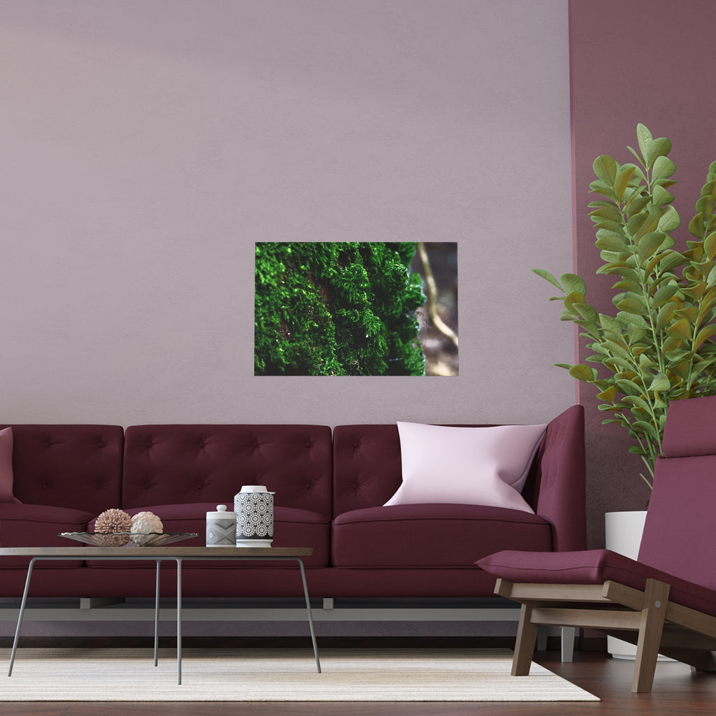 Moss close-up nature photography silk poster — Nature Noticed