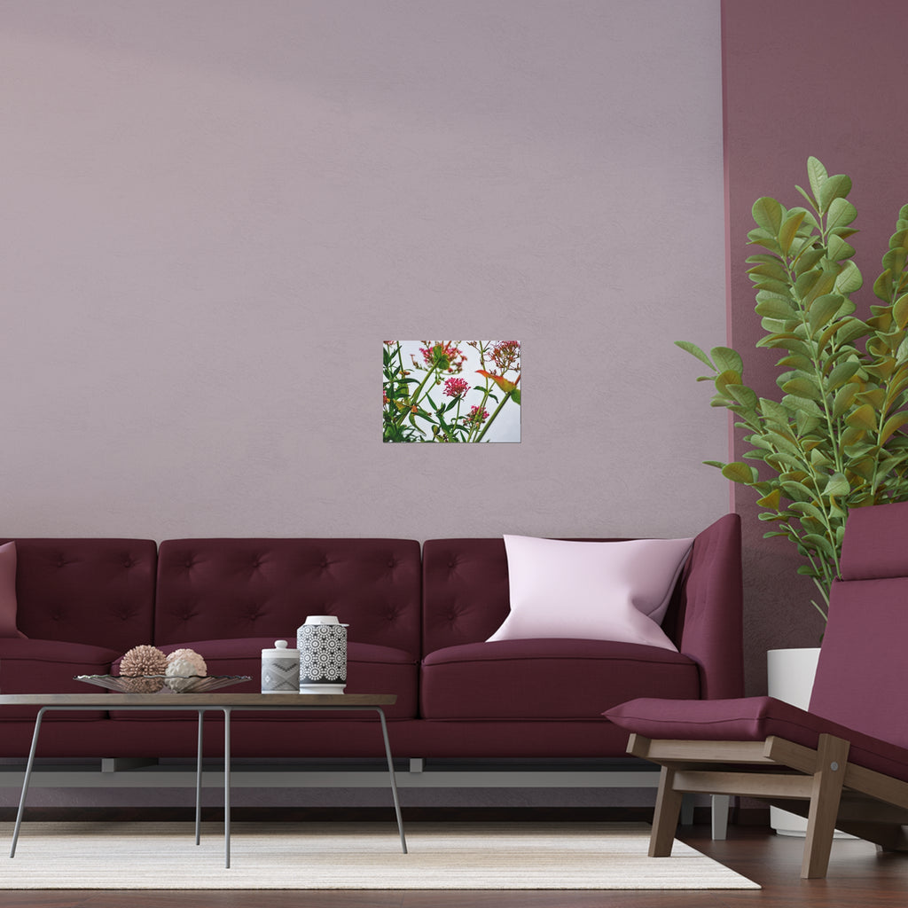 Pink wildflower nature photography silk poster — Nature Noticed