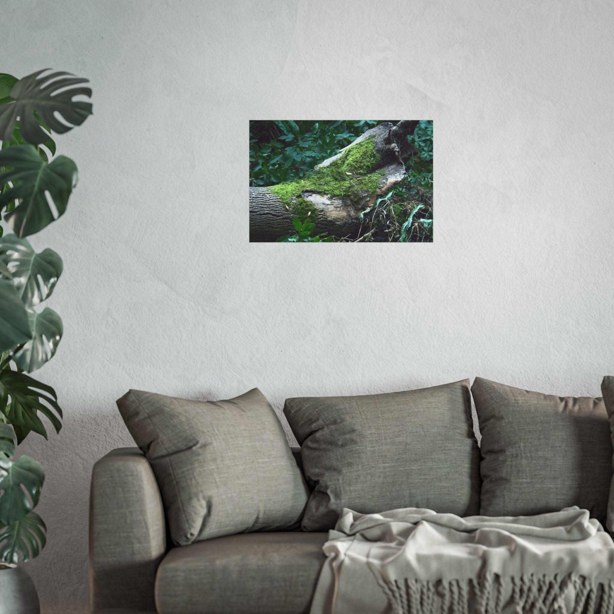 Mossy Woodland Fine Art Poster — Original Forest Photography