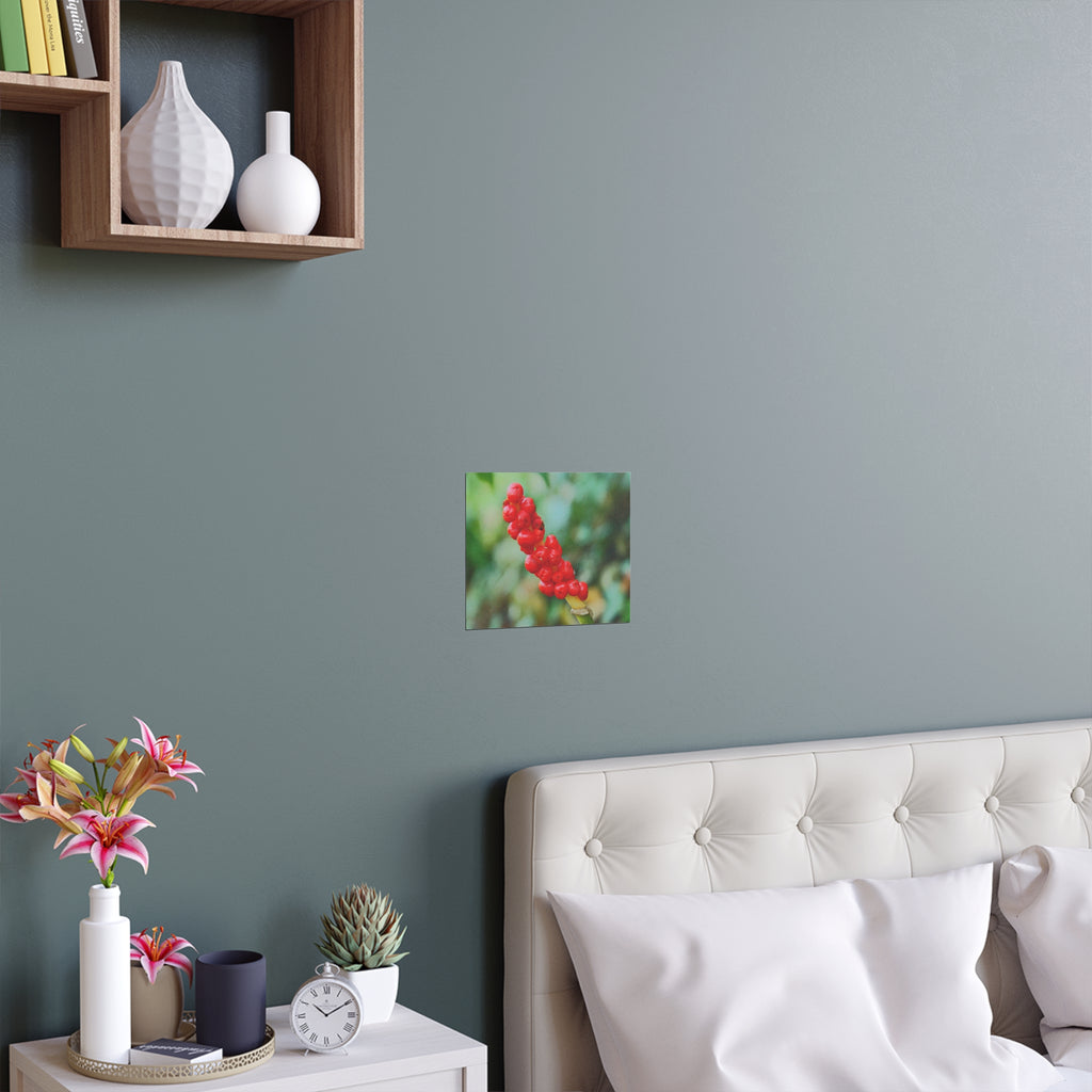 Red berry botanical nature photography silk poster — Nature Noticed