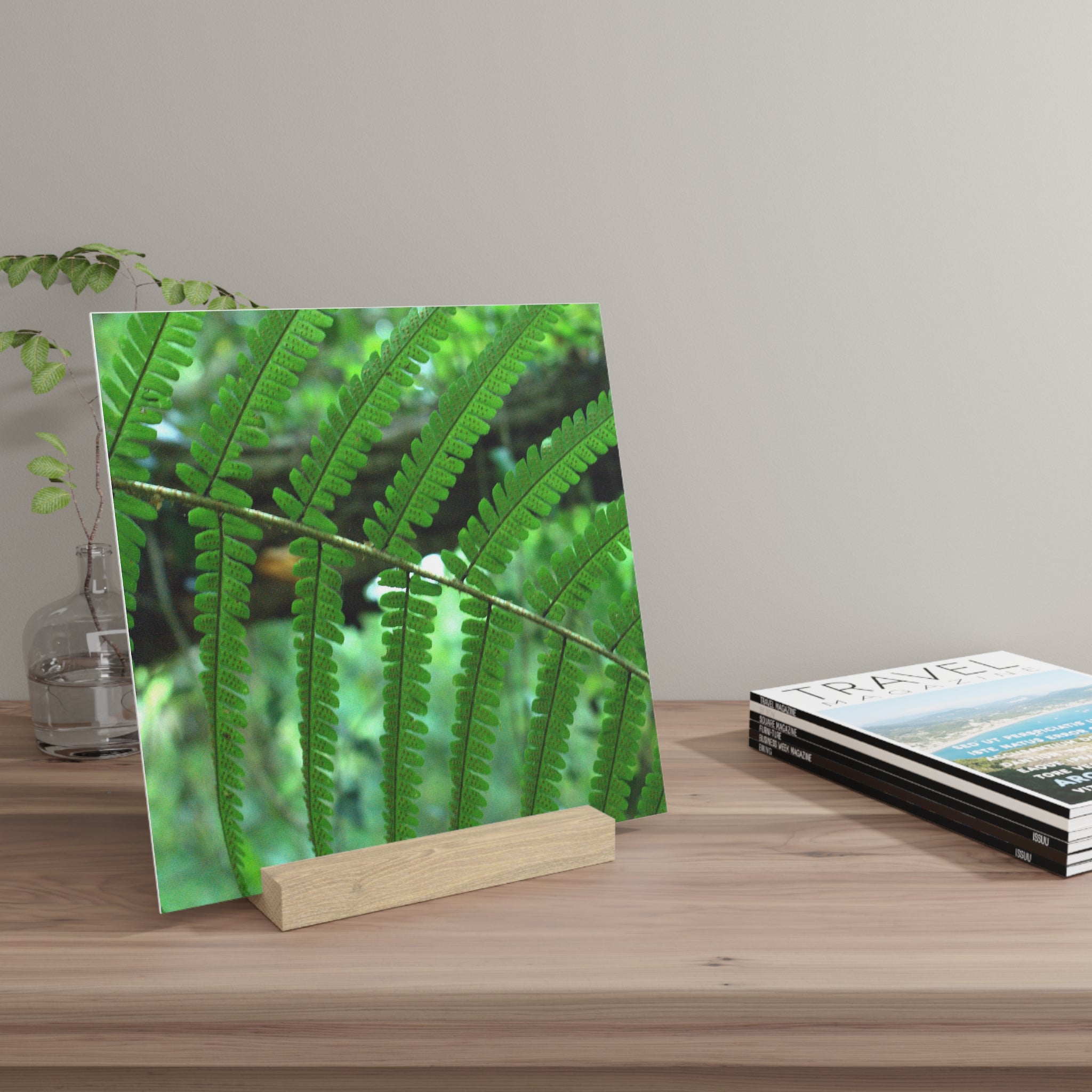 Green Fern Gallery Board with Oak Stand — Original Botanical Photography