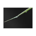 Dewdrop Blade Fine Art Post Card