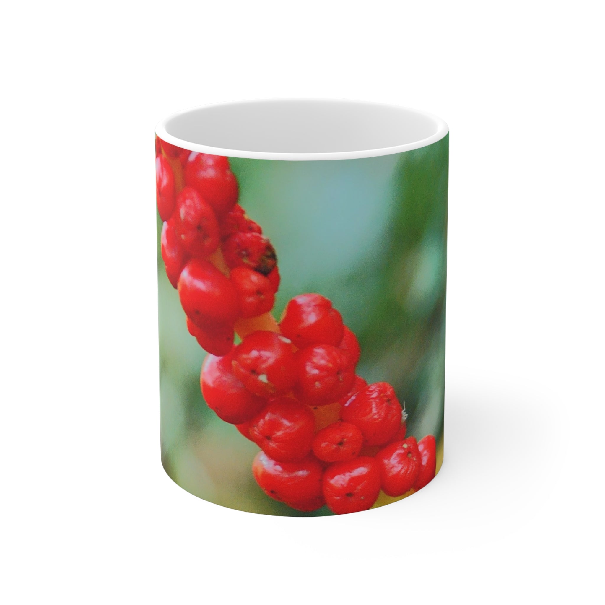 Red Berry Botanical Photo Mug