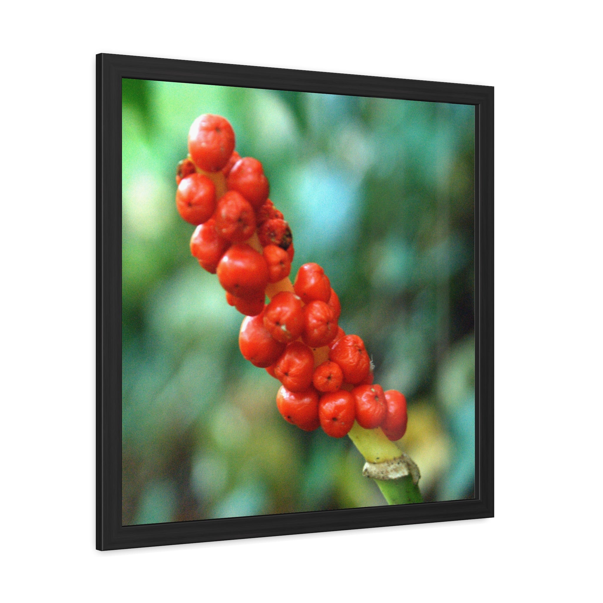 Alternate view of Scarlet Berries Framed Poster