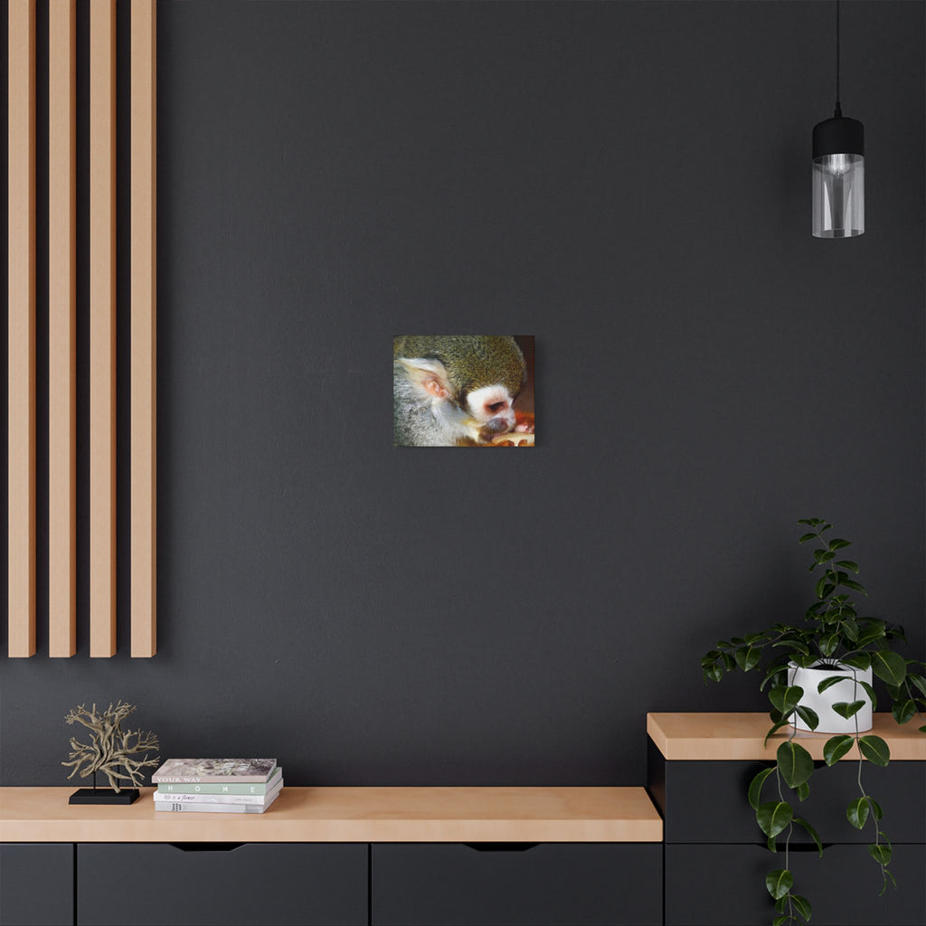 Wild Landscape Satin Stretched Canvas — Original Nature Photography