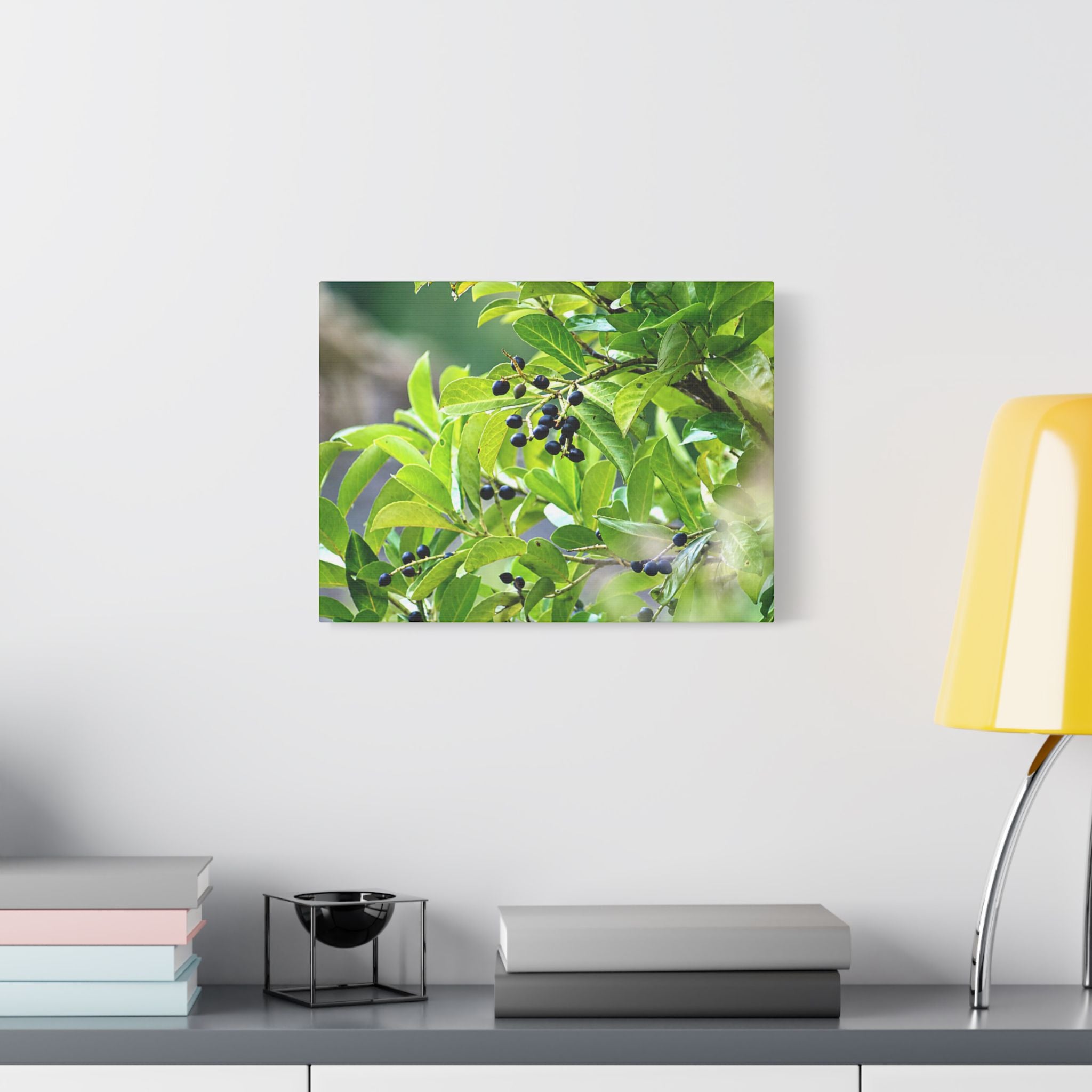 Nature Study Satin Stretched Canvas — Original Nature Photography