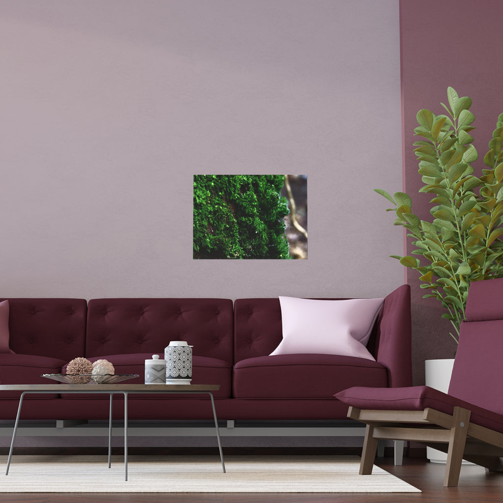 Moss close-up nature photography silk poster — Nature Noticed