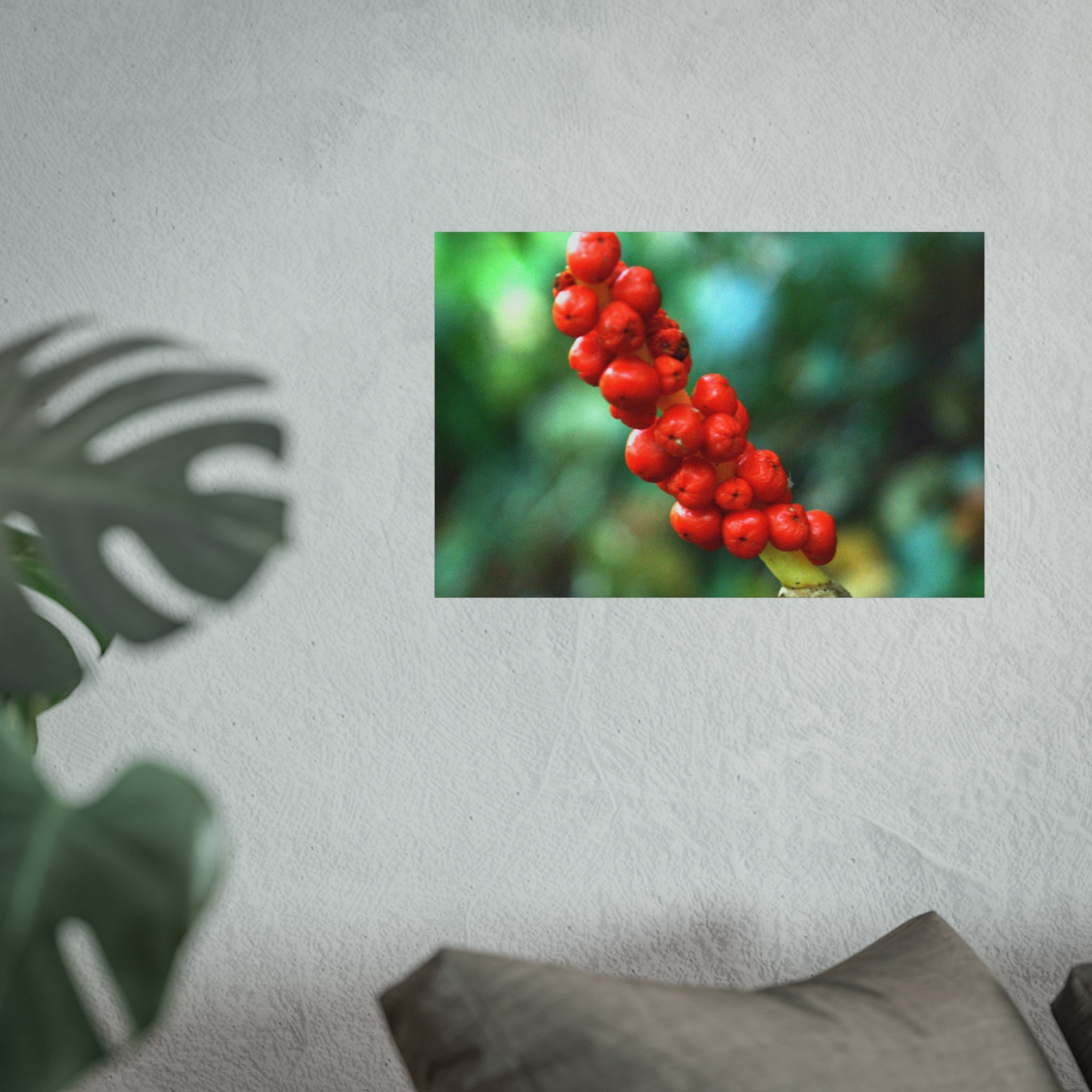 Scarlet Berries Fine Art Poster — Original Botanical Photography