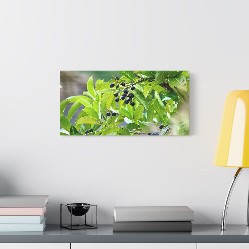Nature Study Satin Stretched Canvas — Original Nature Photography