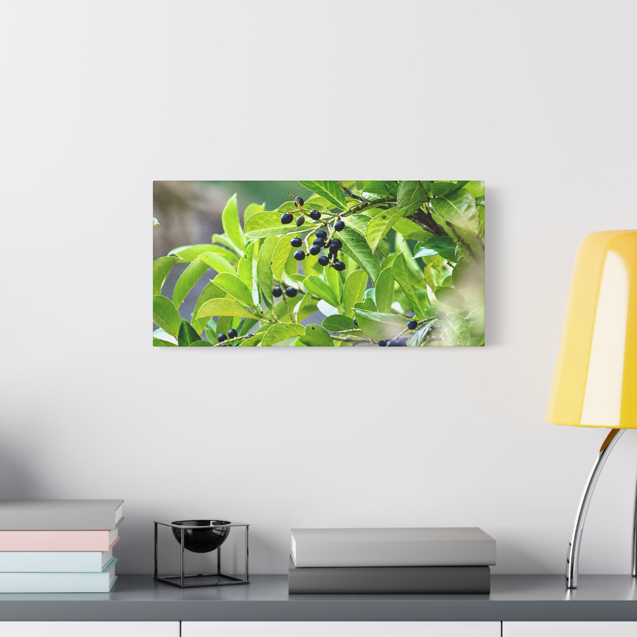 Nature Study Satin Stretched Canvas — Original Nature Photography