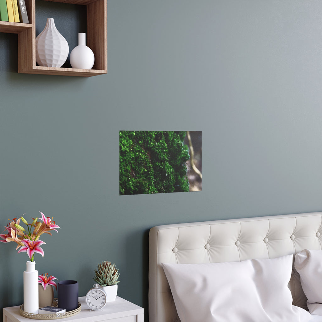 Moss close-up nature photography silk poster — Nature Noticed