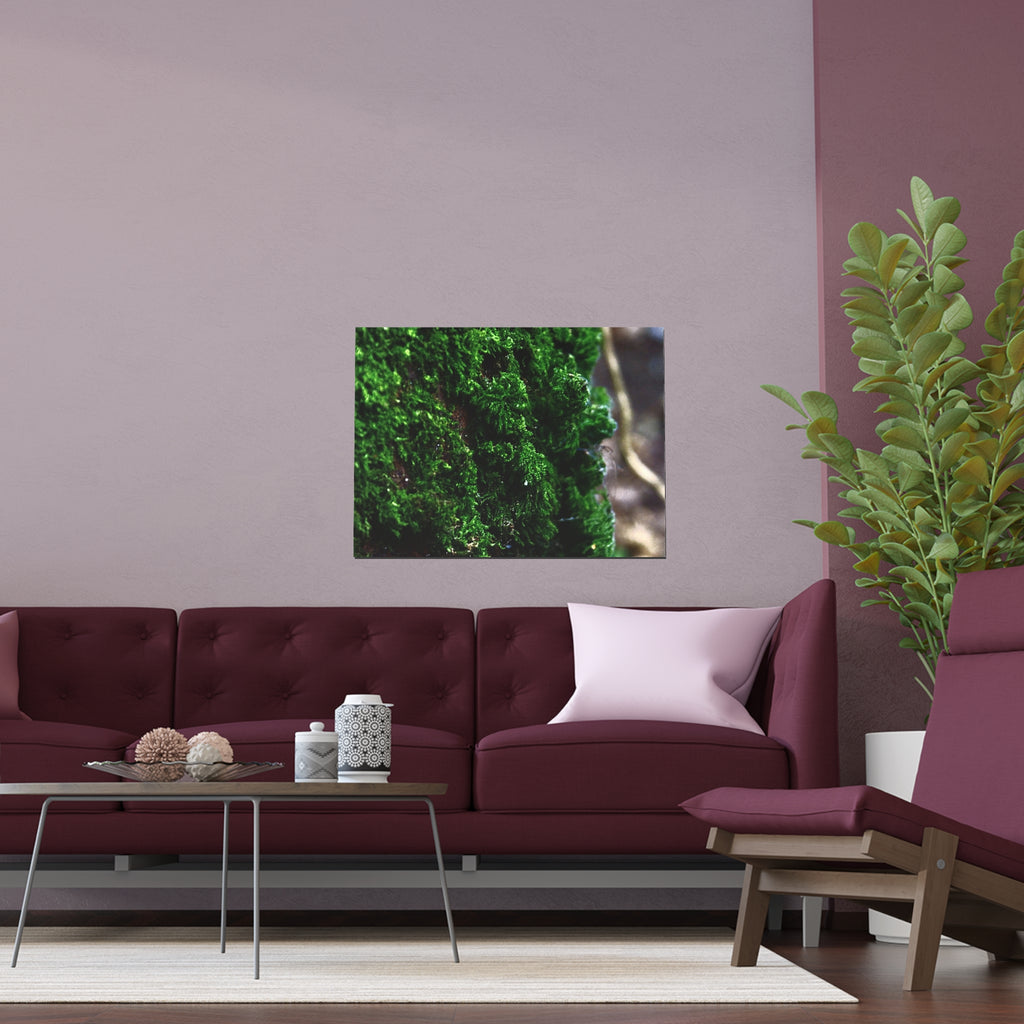 Moss close-up nature photography silk poster — Nature Noticed