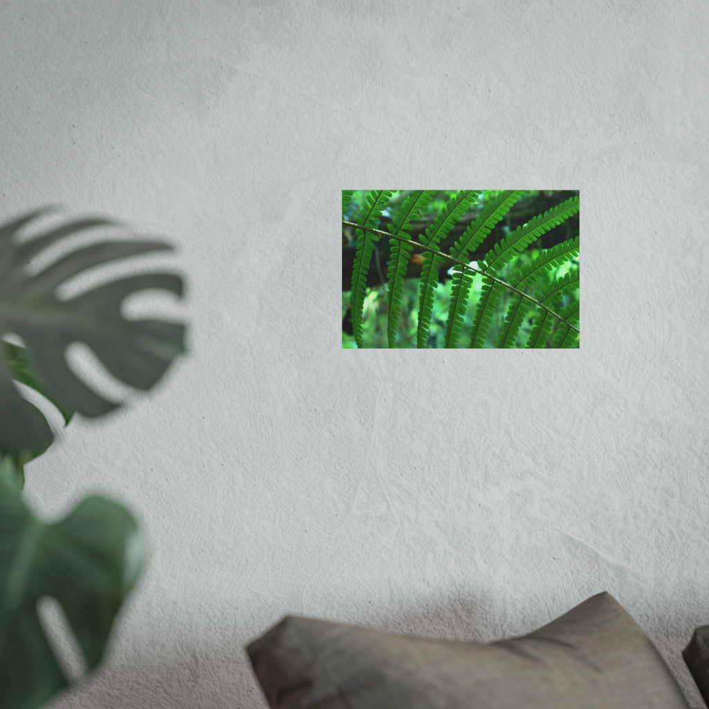 Green Fern Fine Art Poster — Original Botanical Photography