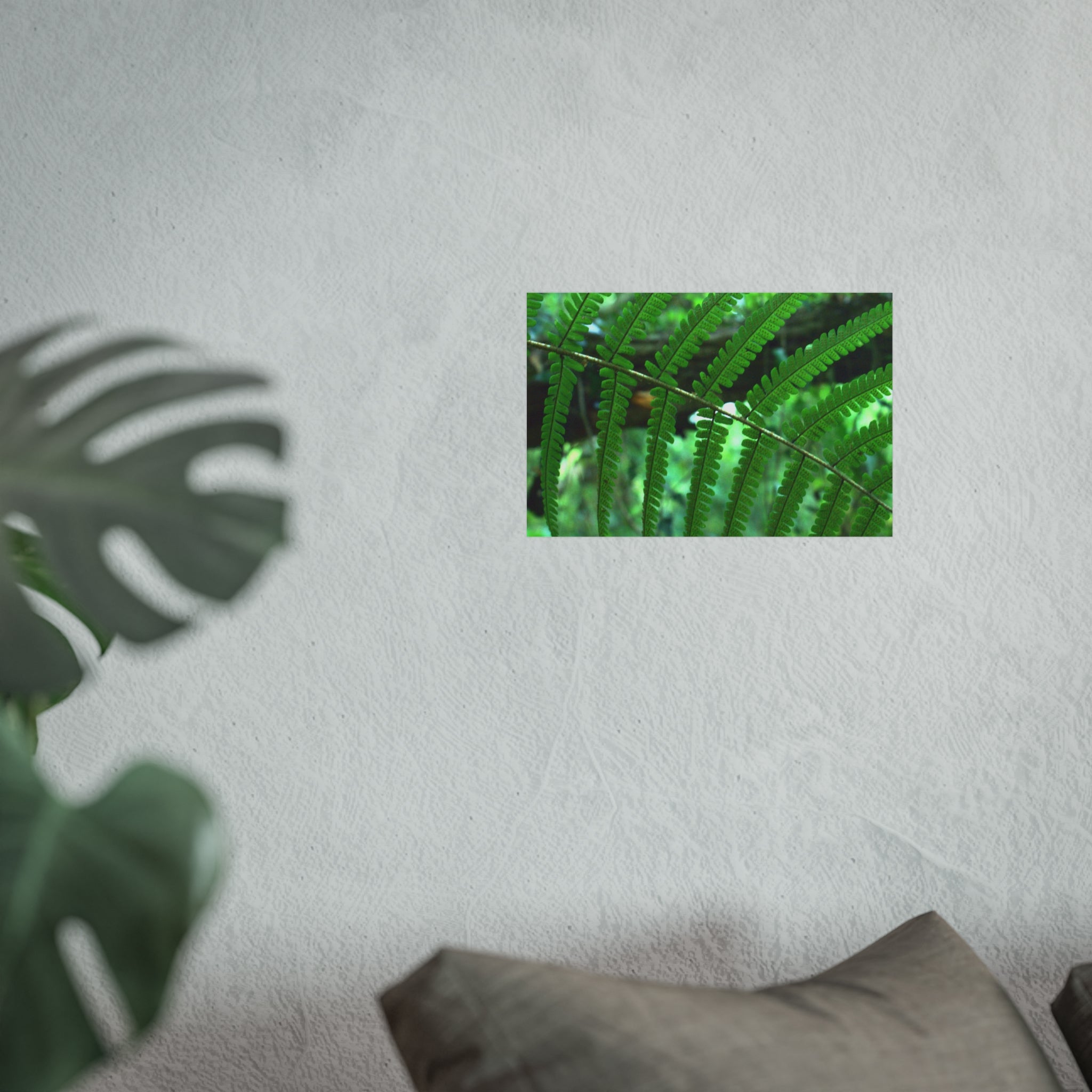 Green Fern Fine Art Poster — Original Botanical Photography