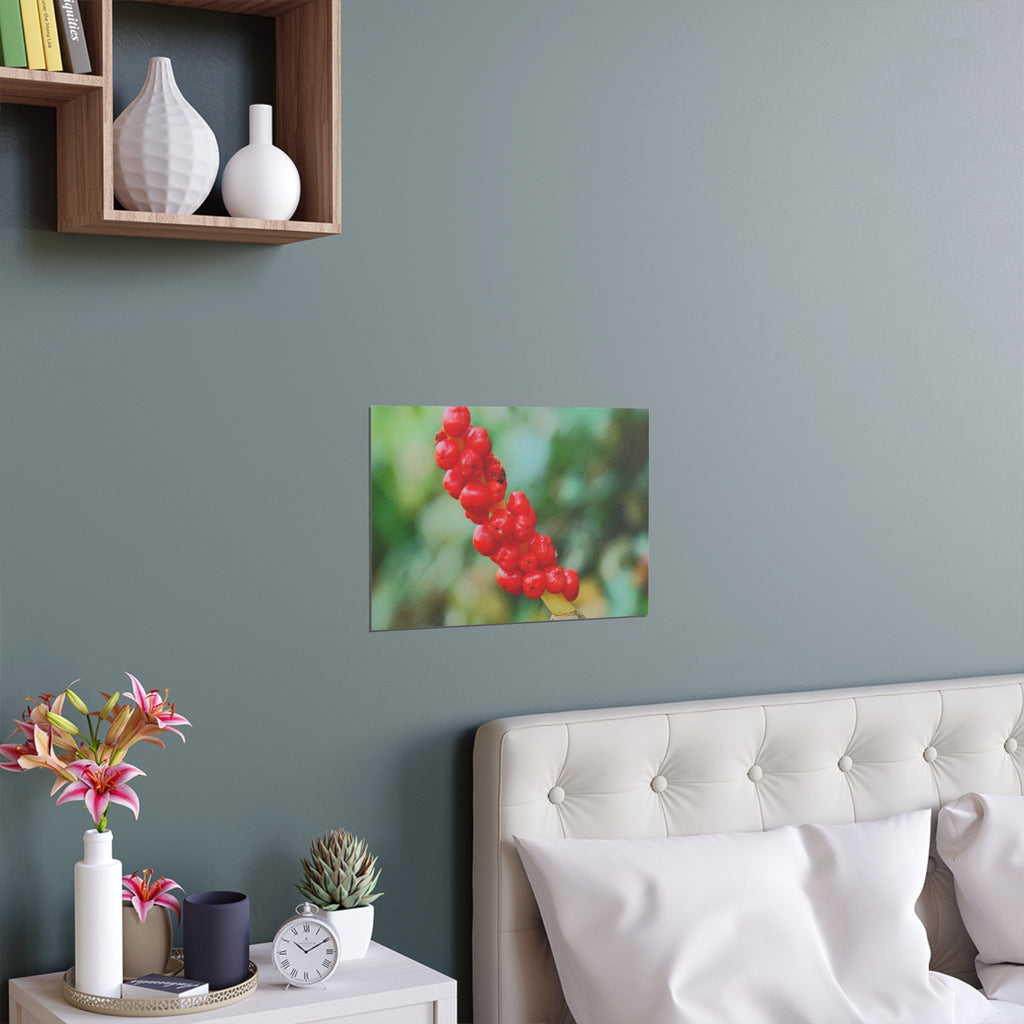 Red berry botanical nature photography silk poster — Nature Noticed