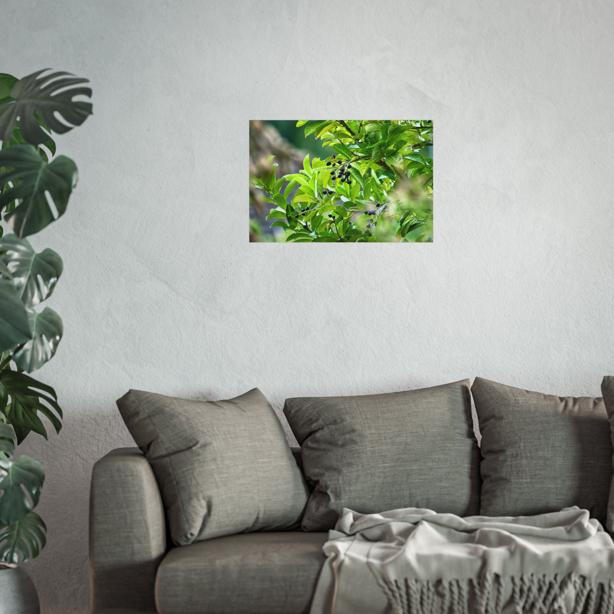 Nature Study Fine Art Poster — Original Botanical Photography