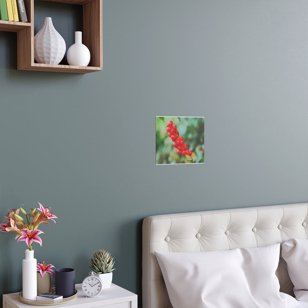 Red berry botanical nature photography silk poster — Nature Noticed