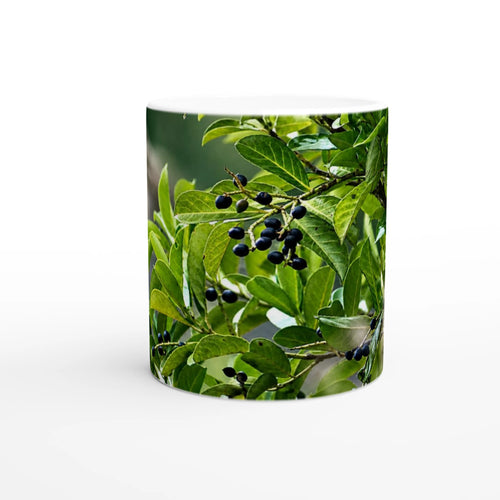 Cherry Laurel Berries nature photography mug — Nature Noticed product mockup