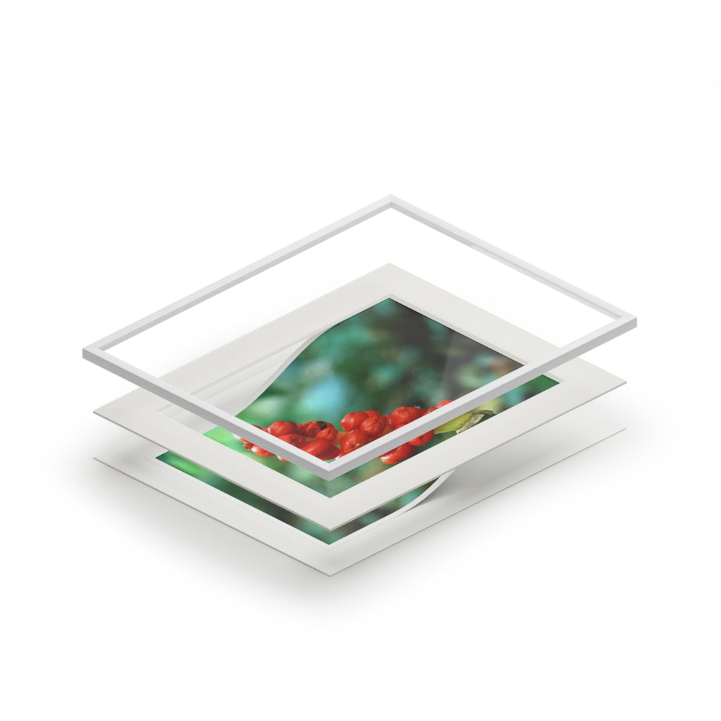 Alternate view of Scarlet Berries Mounted Fine Art Print