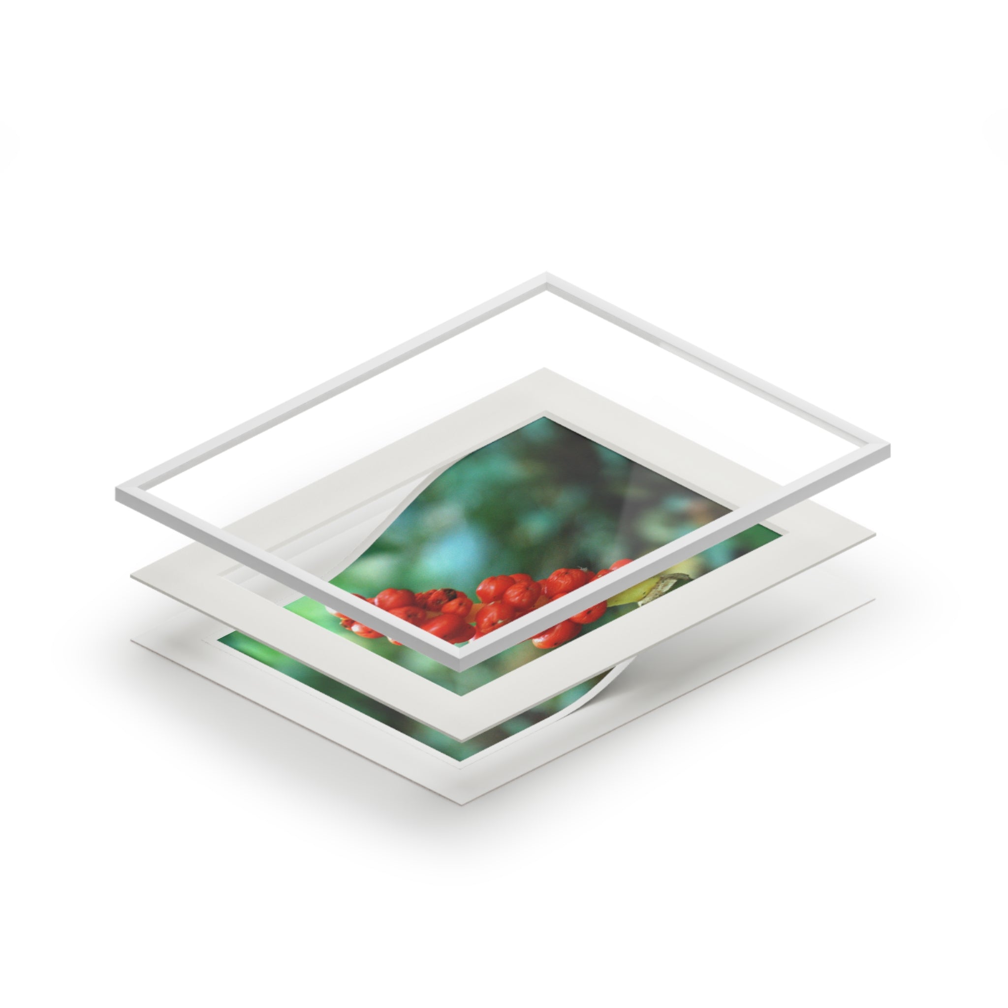 Alternate view of Scarlet Berries Mounted Fine Art Print