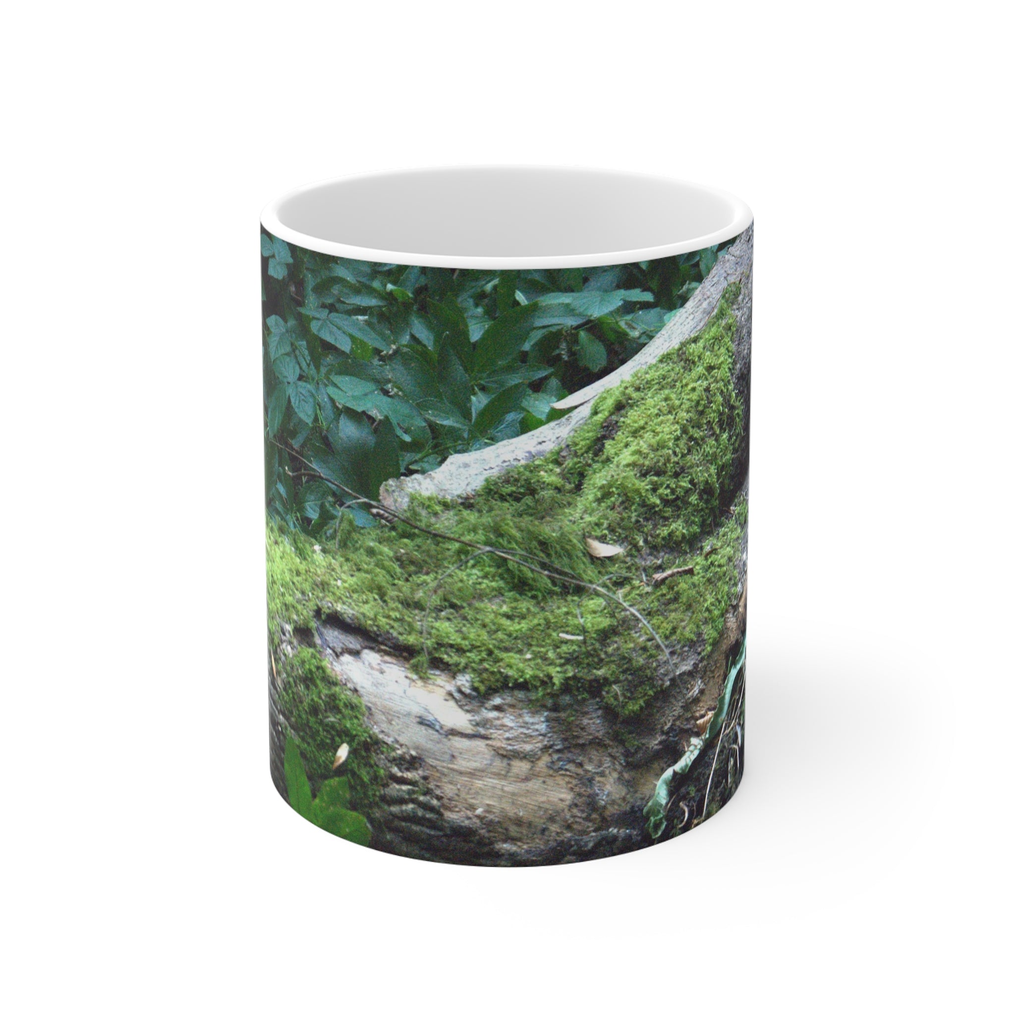 Moss-covered woodland tree photograph printed on an 11 oz white ceramic mug