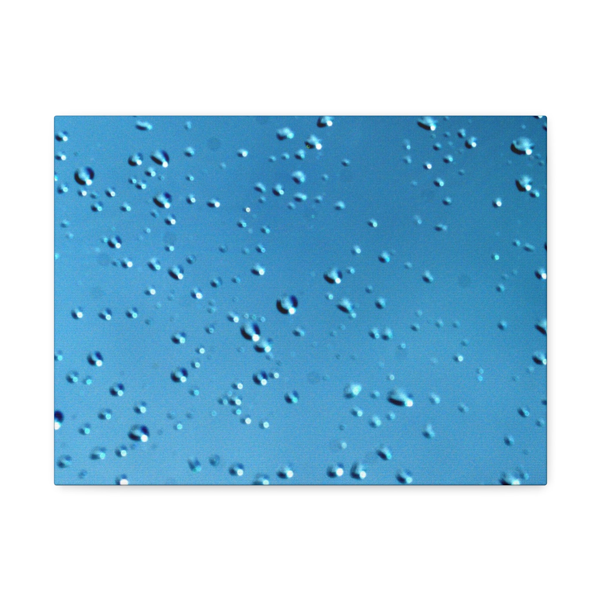Blue Raindrops Stretched Canvas — Original Nature Photography