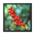 Botanical red berries framed photography poster by Nature Noticed