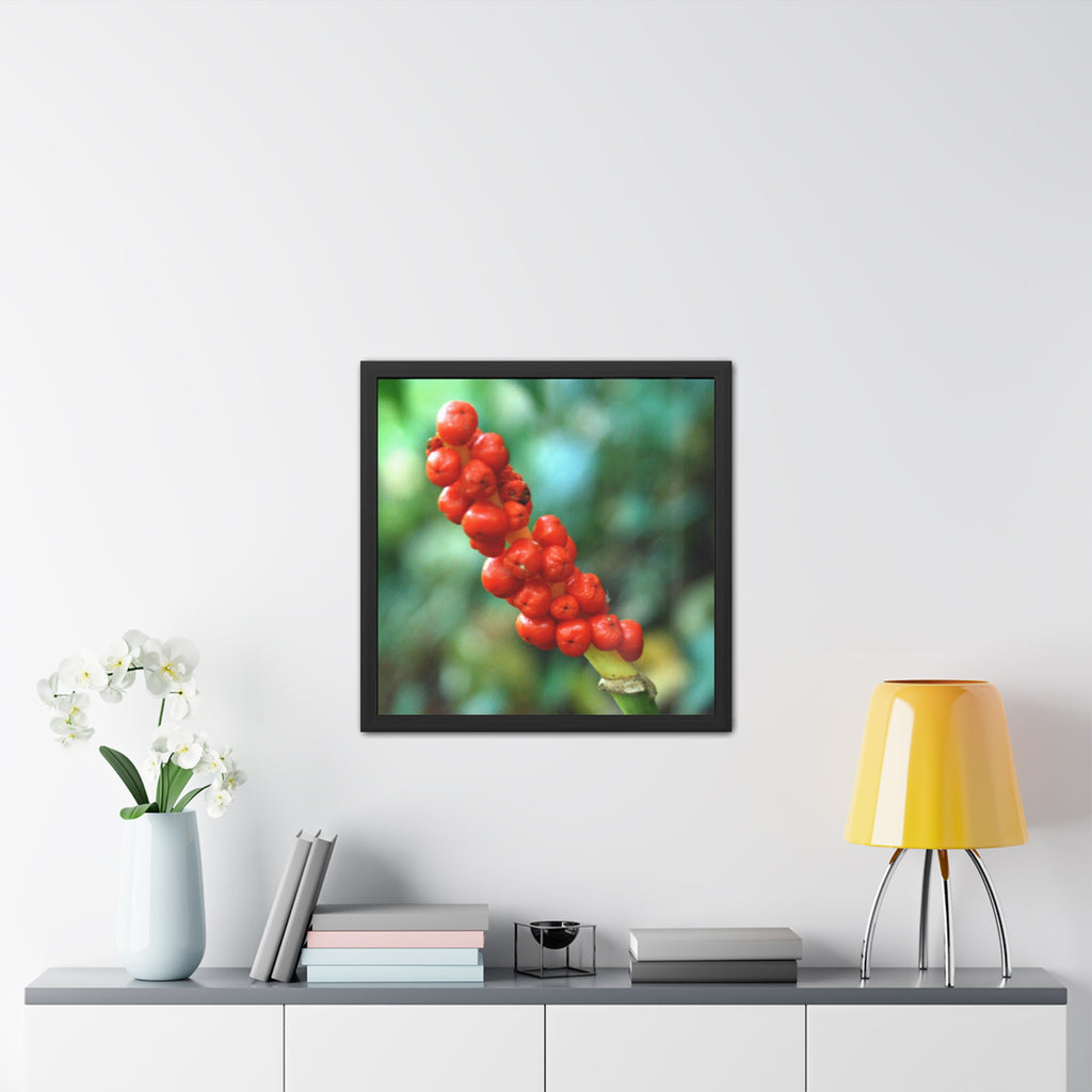 Scarlet Berries Framed Poster — Original Botanical Photography