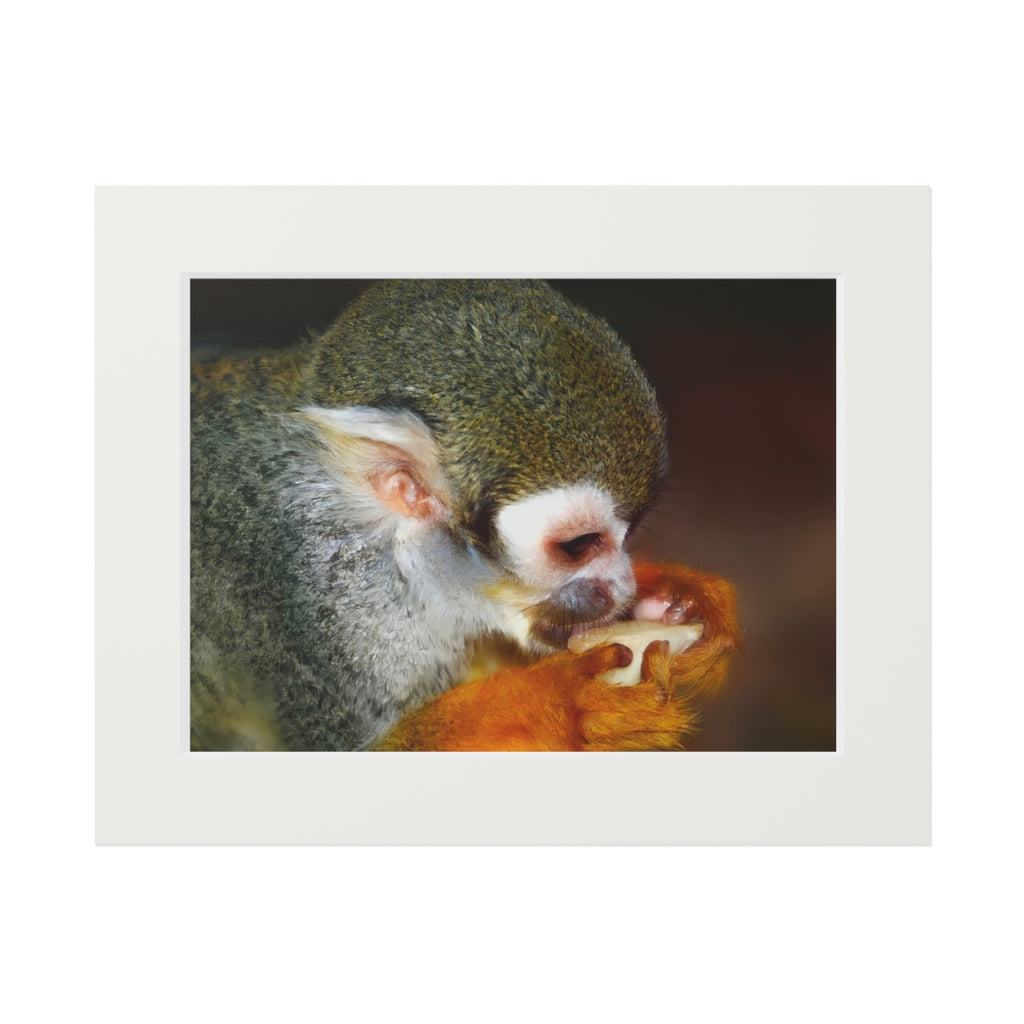 Wild Landscape original nature photography mounted fine art print