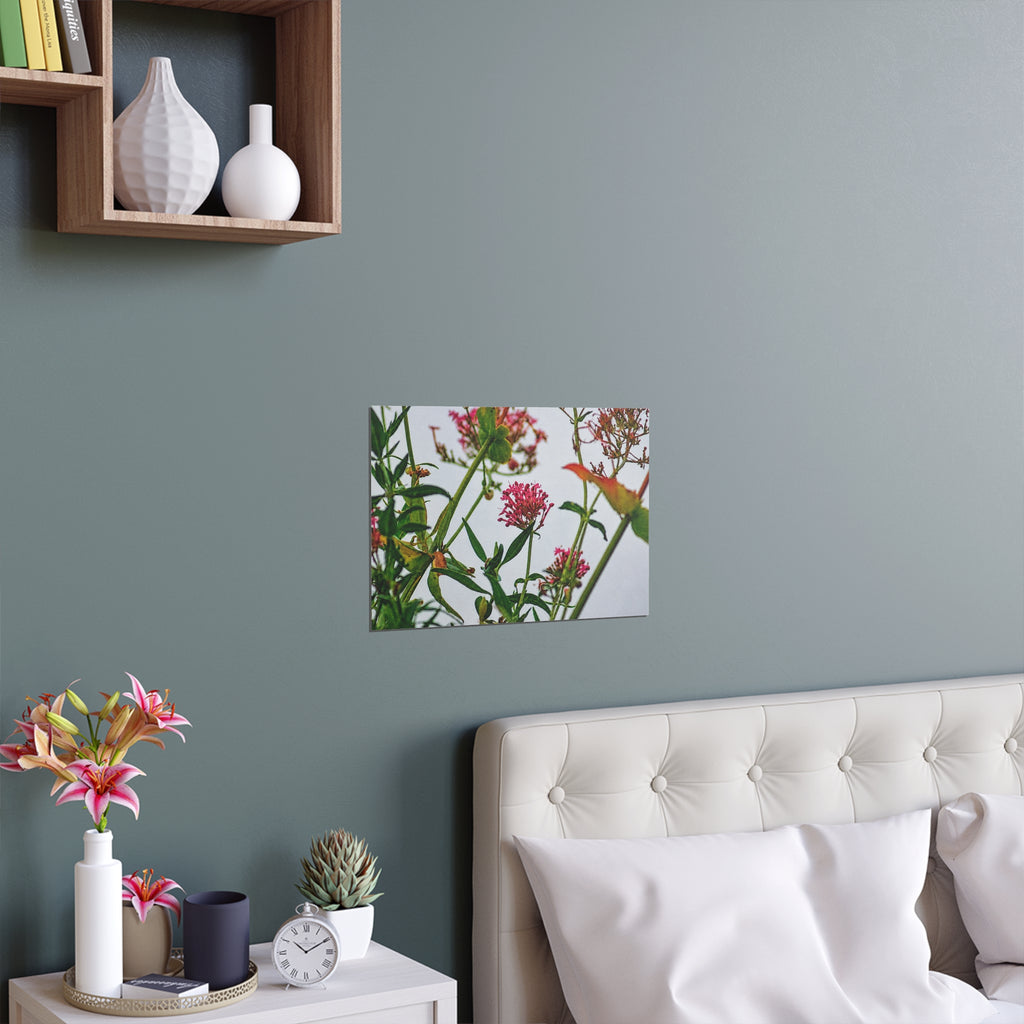 Pink wildflower nature photography silk poster — Nature Noticed