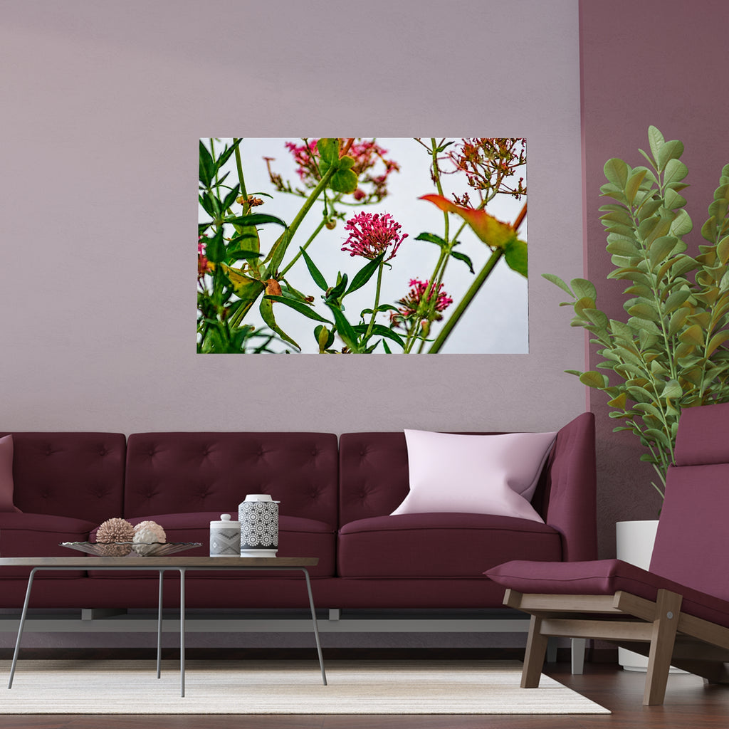 Pink wildflower nature photography silk poster — Nature Noticed