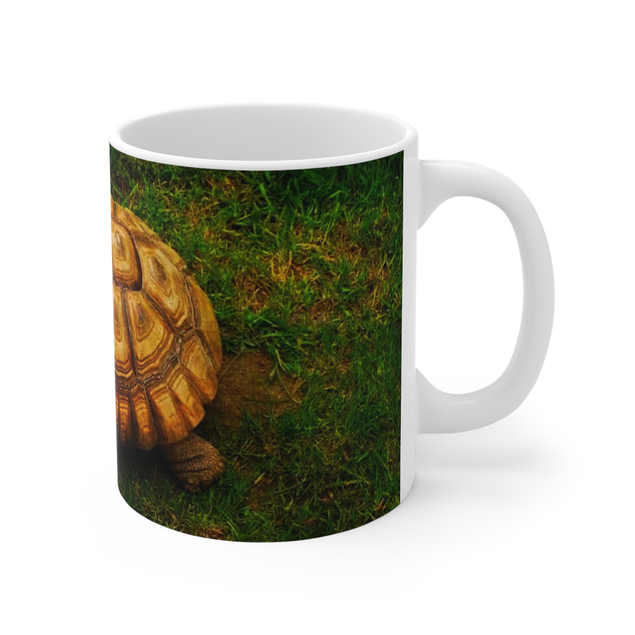 11 oz ceramic mug featuring an original tortoise nature photograph