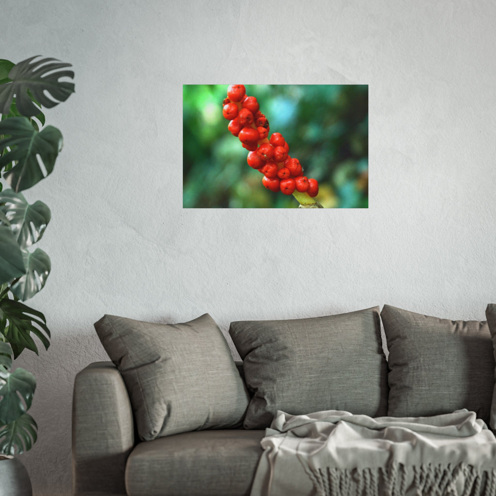 Scarlet Berries Fine Art Poster — Original Botanical Photography