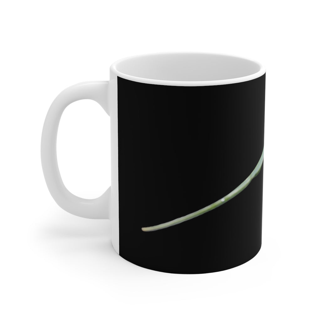 Dew-covered grass blade nature photograph printed on an 11 oz white ceramic mug