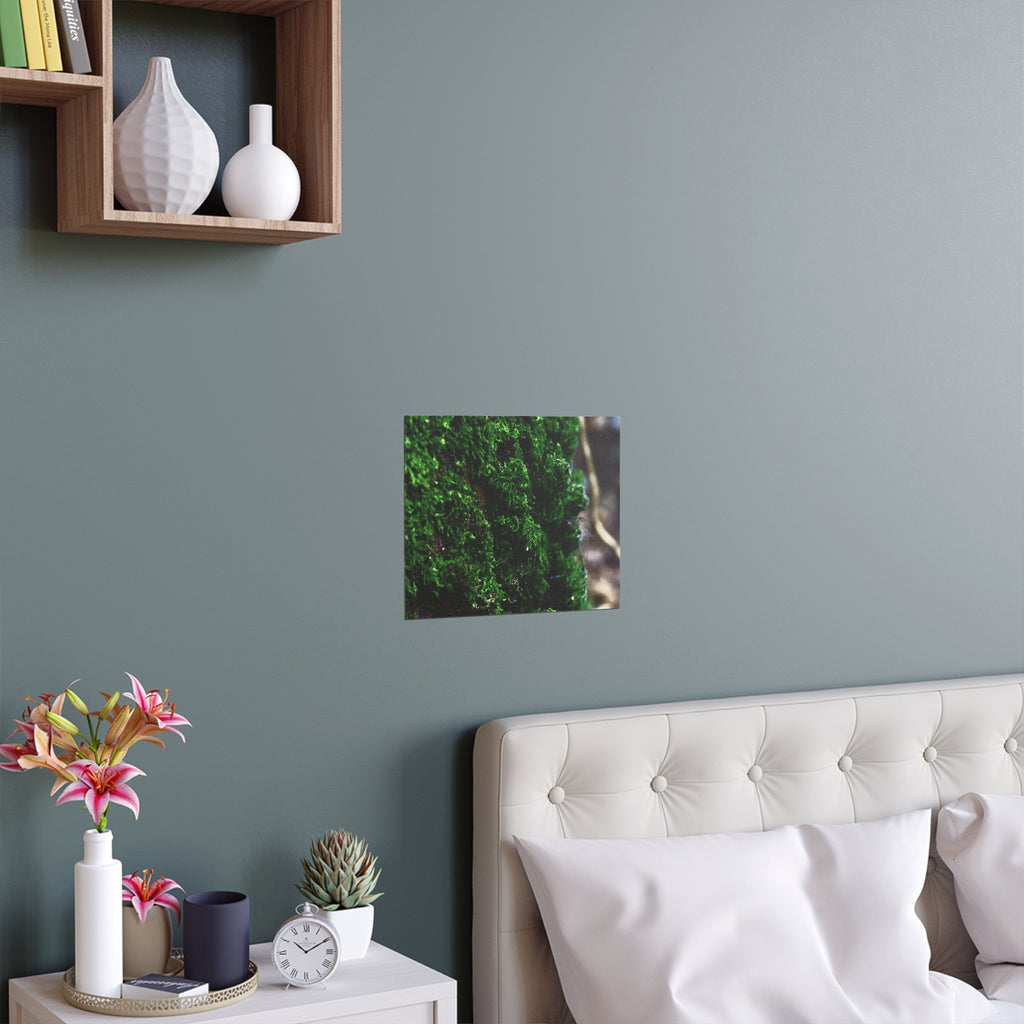Moss close-up nature photography silk poster — Nature Noticed