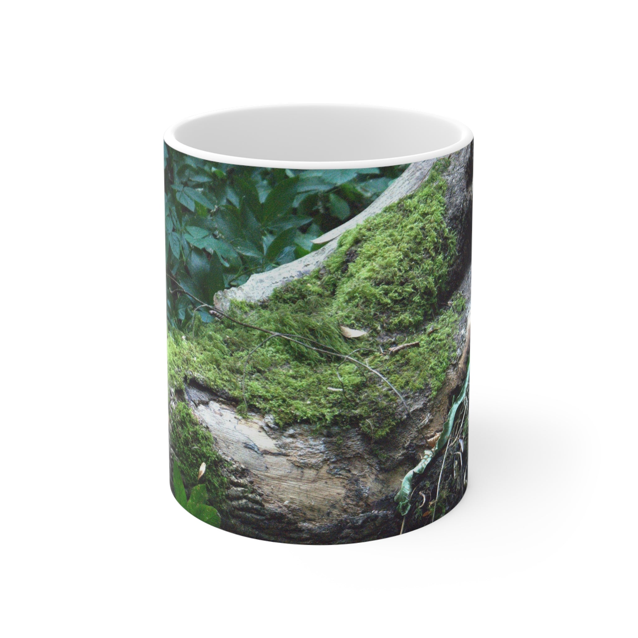 Mossy woodland mug featuring original forest photography