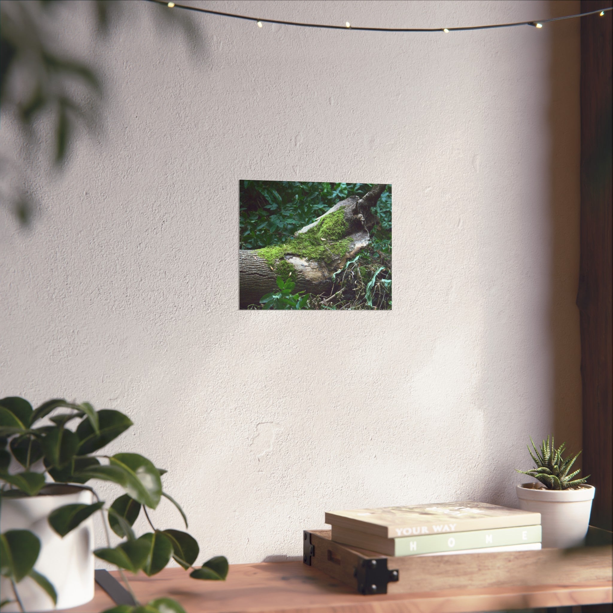 Mossy Woodland Fine Art Poster — Original Forest Photography
