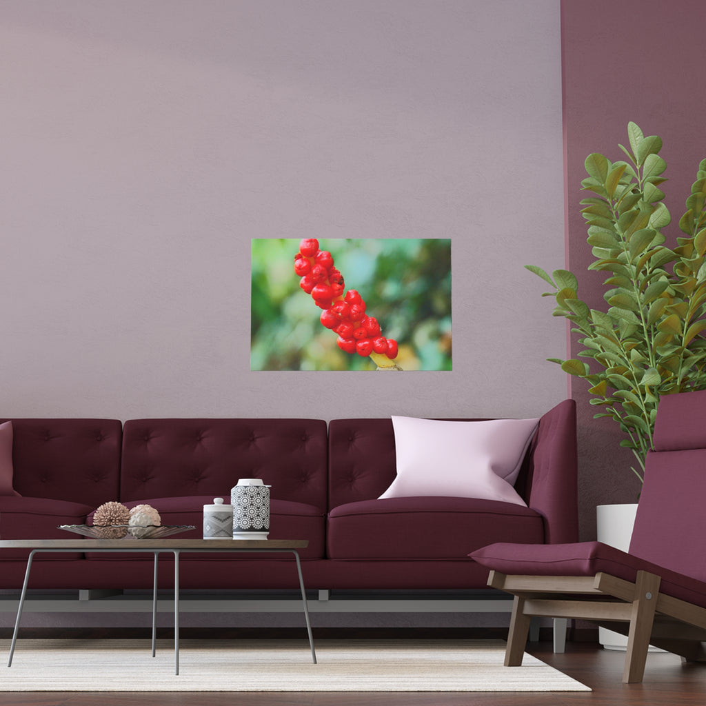 Red berry botanical nature photography silk poster — Nature Noticed