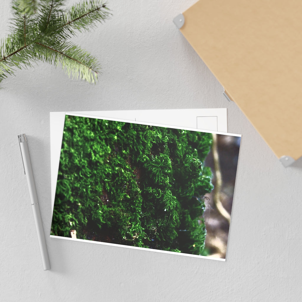 Moss Close-Up Fine Art Post Card