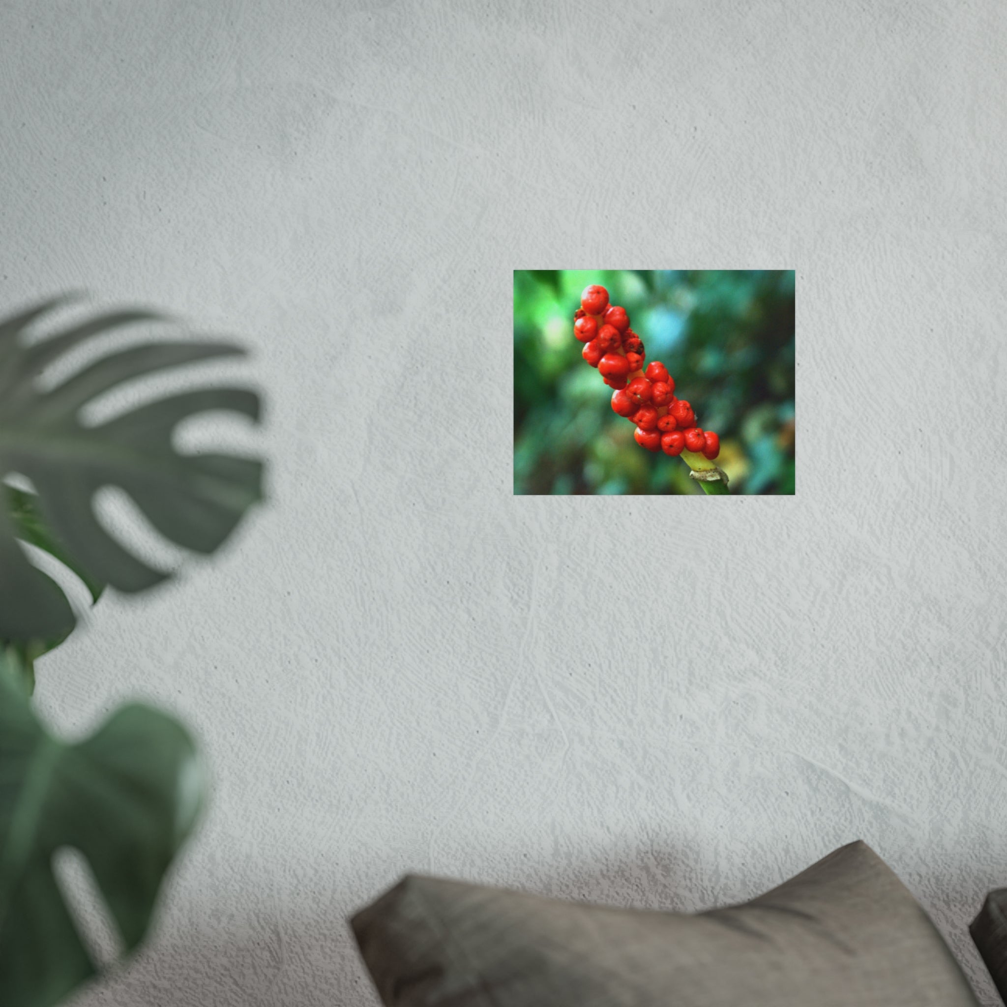 Scarlet Berries Fine Art Poster — Original Botanical Photography