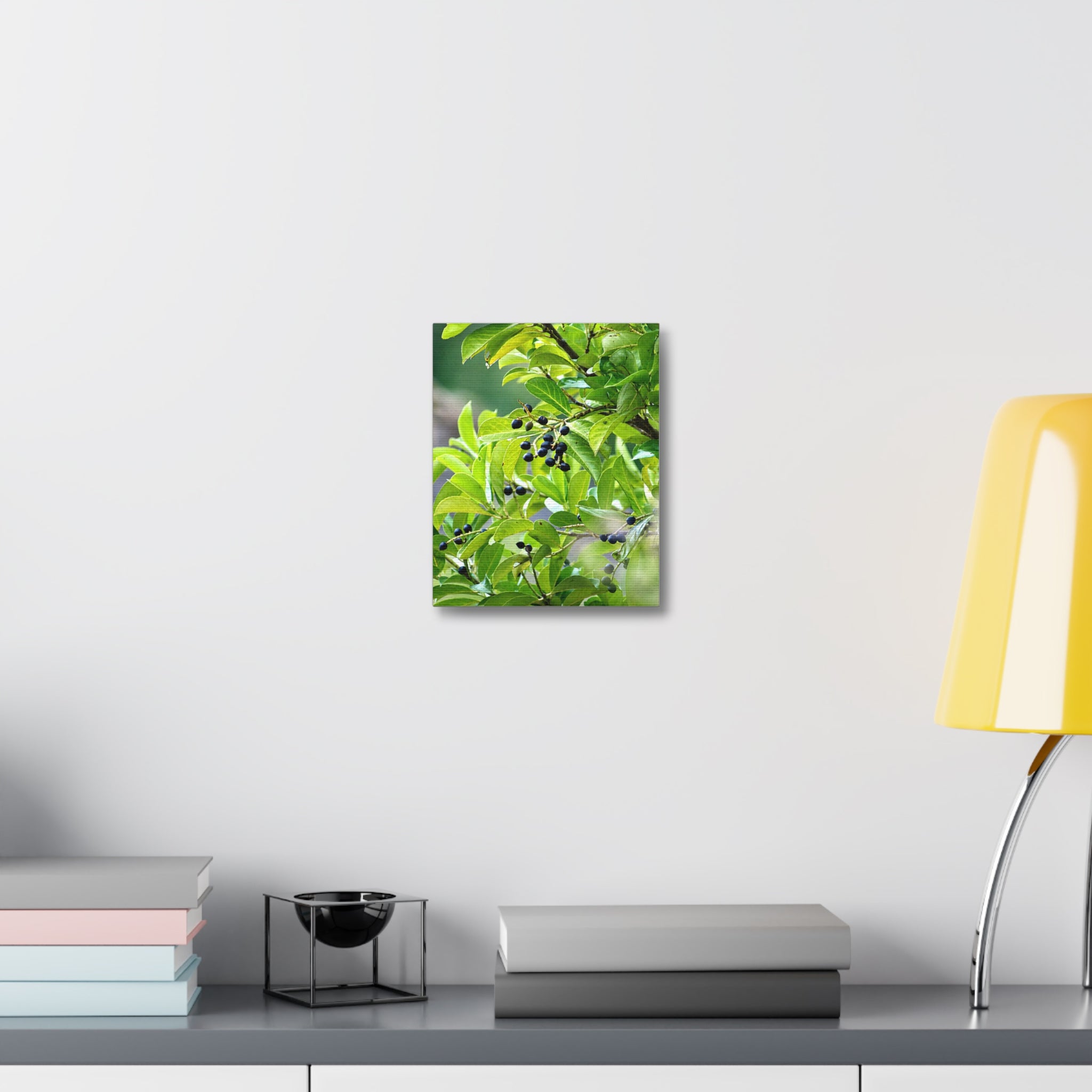 Nature Study Stretched Canvas — Original Nature Photography